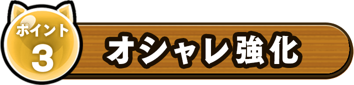 オシャレ強化
